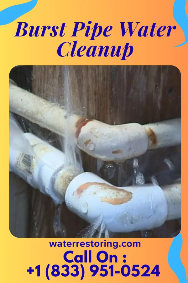 Burst Pipe Water Cleanup in Casanova, PA