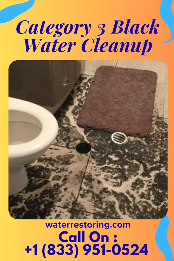 Category 3 Black Water Cleanup in Casanova, PA