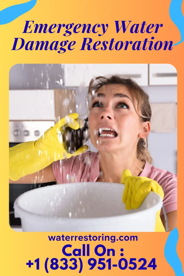 Emergency Water Damage Restoration in Casanova, PA