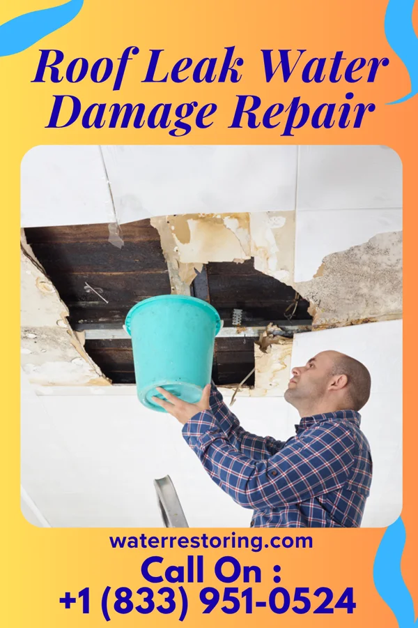 Roof Leak Water Damage Repair in Casanova, PA